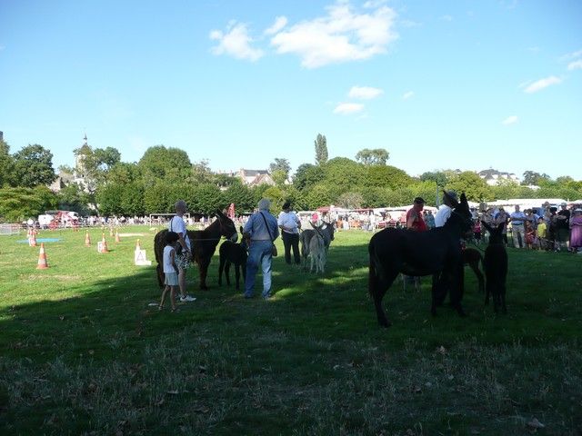 dimanche (328).jpg